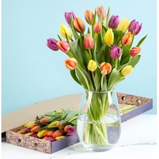 The 20 Mixed Tulip Letterbox
